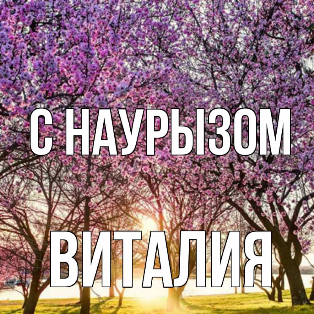 Открытка на каждый день с именем, Виталия С наурызом праздник весны наурыз Прикольная открытка с пожеланием онлайн скачать бесплатно 