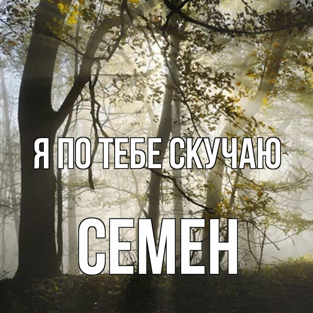 Открытка на каждый день с именем, Семен Я по тебе скучаю грустно Прикольная открытка с пожеланием онлайн скачать бесплатно 