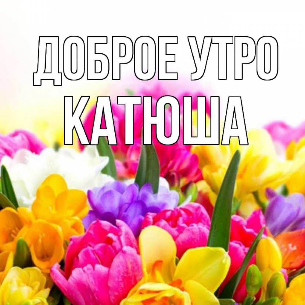 С добрым утром катюша картинки