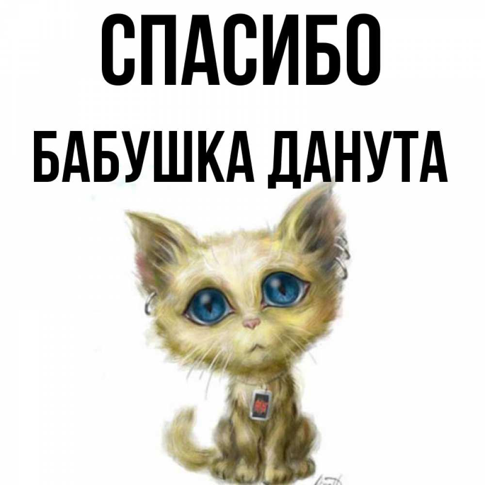 Открытка на каждый день с именем, Бабушка-Данута Спасибо рисованный кот благодарит вас Прикольная открытка с пожеланием онлайн скачать бесплатно 