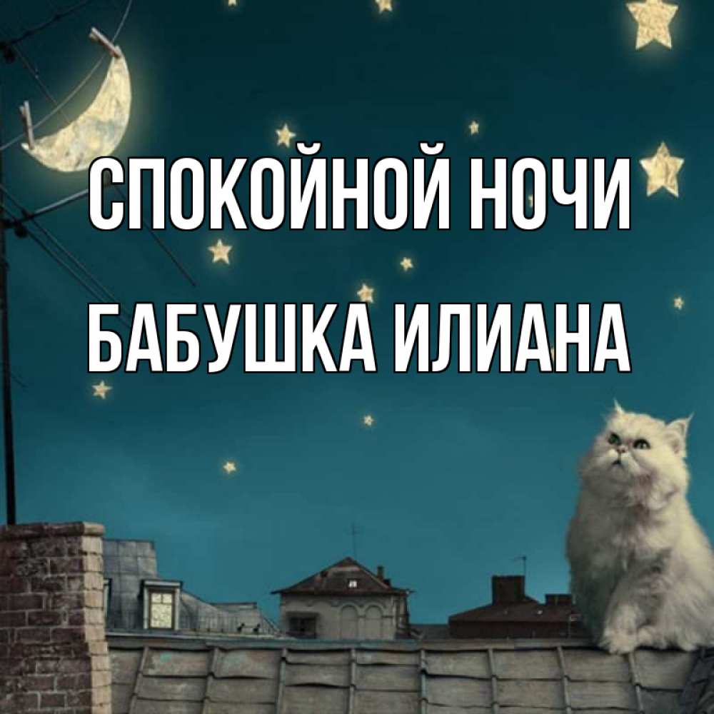 Открытка на каждый день с именем, Бабушка-Илиана Спокойной ночи белый кот сидит на крыше Прикольная открытка с пожеланием онлайн скачать бесплатно 