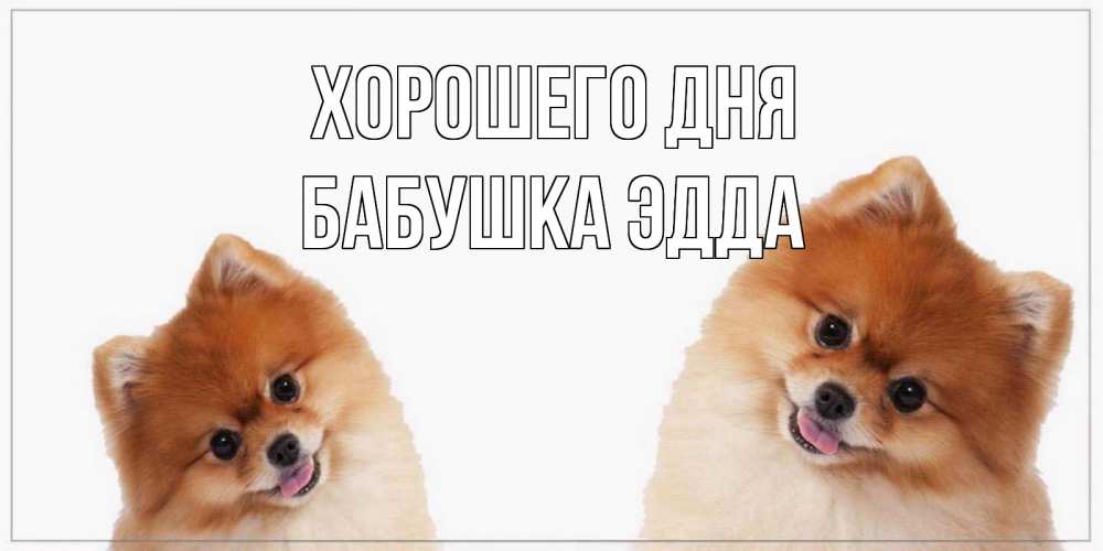 Открытка на каждый день с именем, Бабушка-Эдда Хорошего дня собачки желают прекрасного дня Прикольная открытка с пожеланием онлайн скачать бесплатно 
