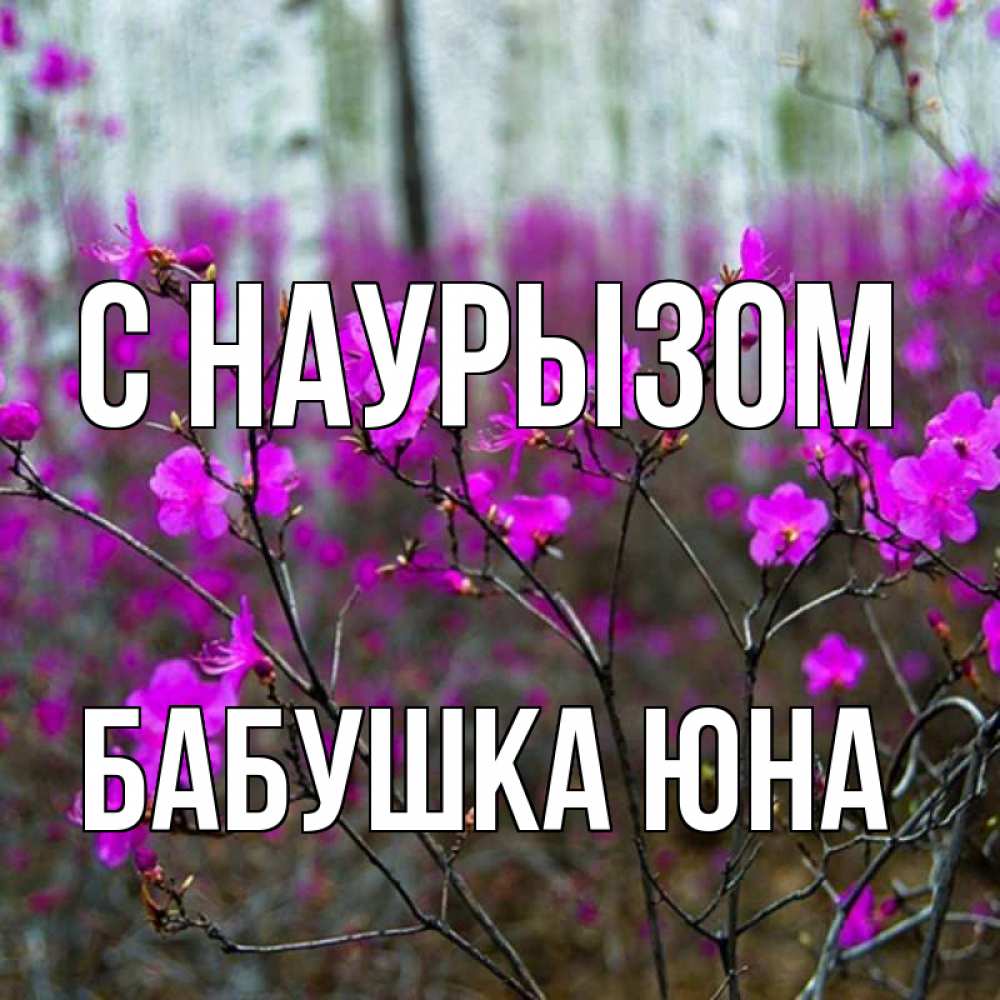 Открытка на каждый день с именем, Бабушка-Юна С наурызом дикие цветы Прикольная открытка с пожеланием онлайн скачать бесплатно 