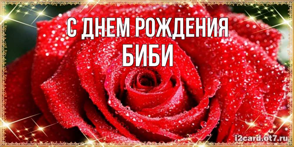 Открытка на каждый день с именем, Биби С днем рождения роса и роза. открытка с красивой розой Прикольная открытка с пожеланием онлайн скачать бесплатно 