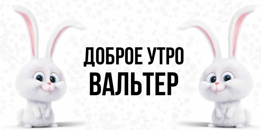Открытка на каждый день с именем, Вальтер Доброе утро кролики с длинными ушками Прикольная открытка с пожеланием онлайн скачать бесплатно 