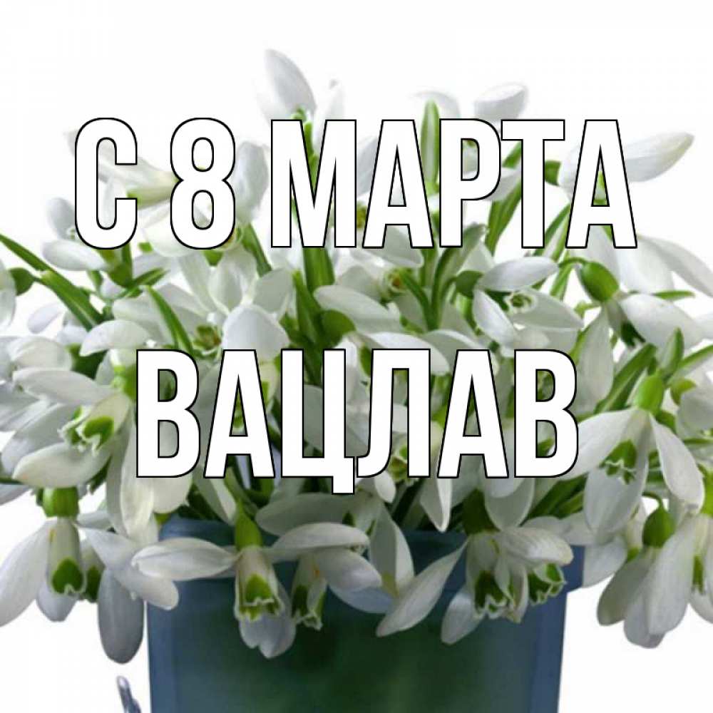 Открытка на каждый день с именем, Вацлав С 8 МАРТА цветы к международному женскому дню Прикольная открытка с пожеланием онлайн скачать бесплатно 