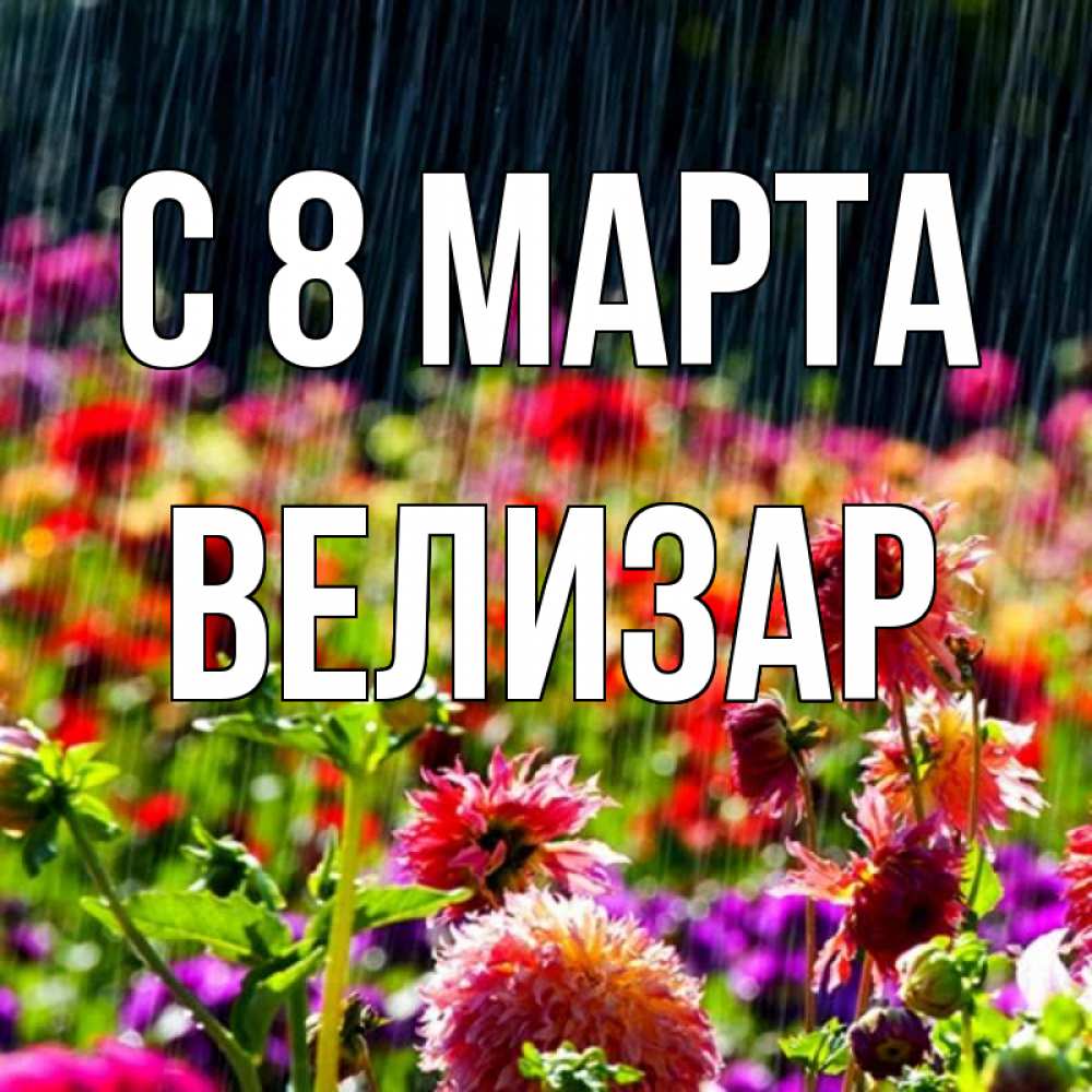 Открытка на каждый день с именем, Велизар С 8 МАРТА цветы под дождиком к международному женскому дню Прикольная открытка с пожеланием онлайн скачать бесплатно 