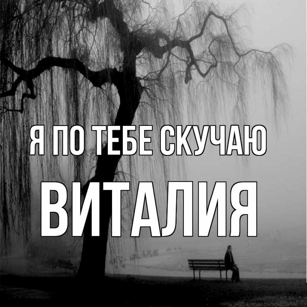 Открытка на каждый день с именем, Виталия Я по тебе скучаю лавочка под деревом я жду тебя Прикольная открытка с пожеланием онлайн скачать бесплатно 