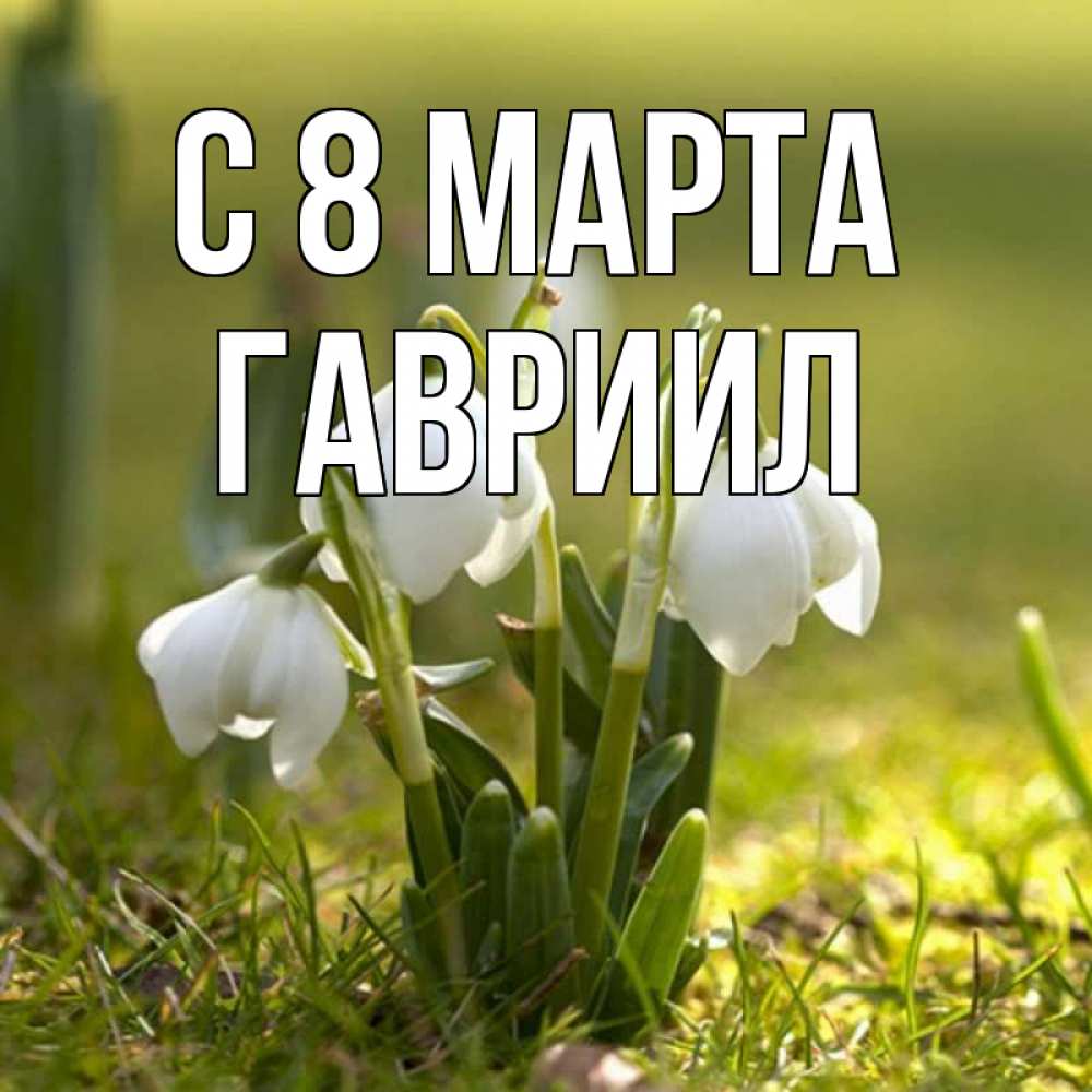 Открытка на каждый день с именем, Гавриил С 8 МАРТА ранние цветы 2 Прикольная открытка с пожеланием онлайн скачать бесплатно 