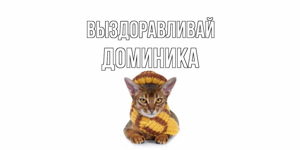 Открытка на каждый день с именем, Доминика Выздоравливай родные не болейте Прикольная открытка с пожеланием онлайн скачать бесплатно 