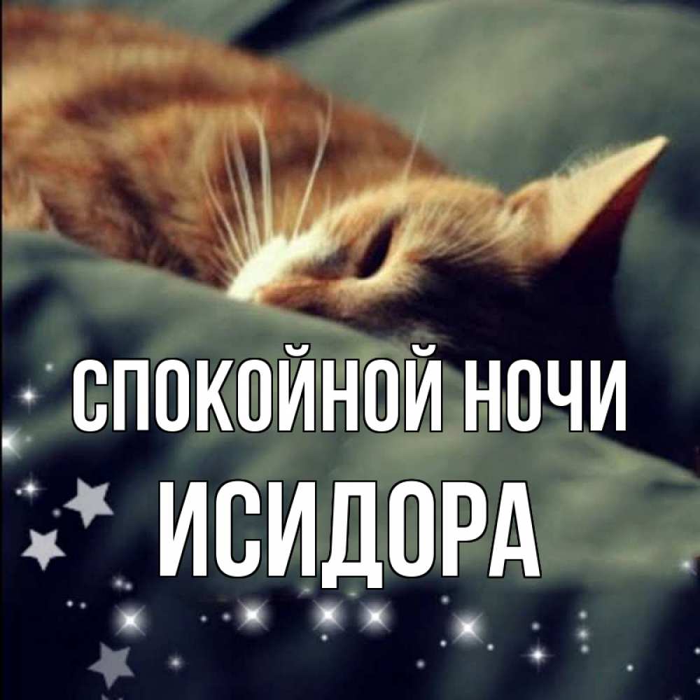 Открытка на каждый день с именем, Исидора Спокойной ночи кроватка Прикольная открытка с пожеланием онлайн скачать бесплатно 