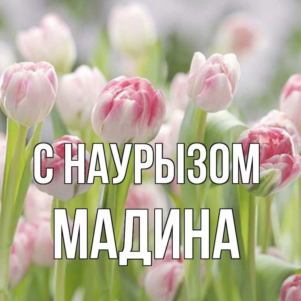 Открытка на каждый день с именем, Мадина С наурызом цветы Прикольная открытка с пожеланием онлайн скачать бесплатно 