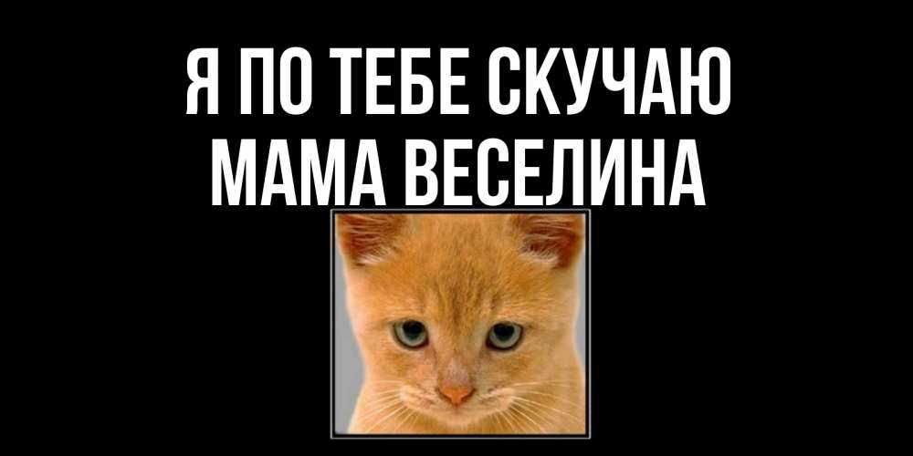Открытка на каждый день с именем, Мама-Веселина Я по тебе скучаю открытки рыжий котенок скучает по тебе Прикольная открытка с пожеланием онлайн скачать бесплатно 