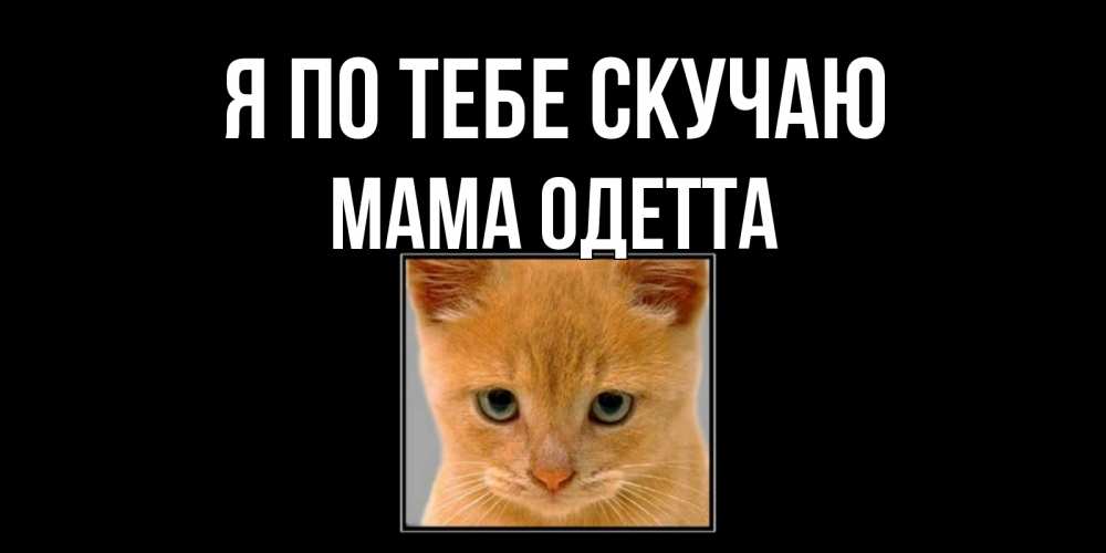 Открытка на каждый день с именем, Мама-Одетта Я по тебе скучаю открытки рыжий котенок скучает по тебе Прикольная открытка с пожеланием онлайн скачать бесплатно 