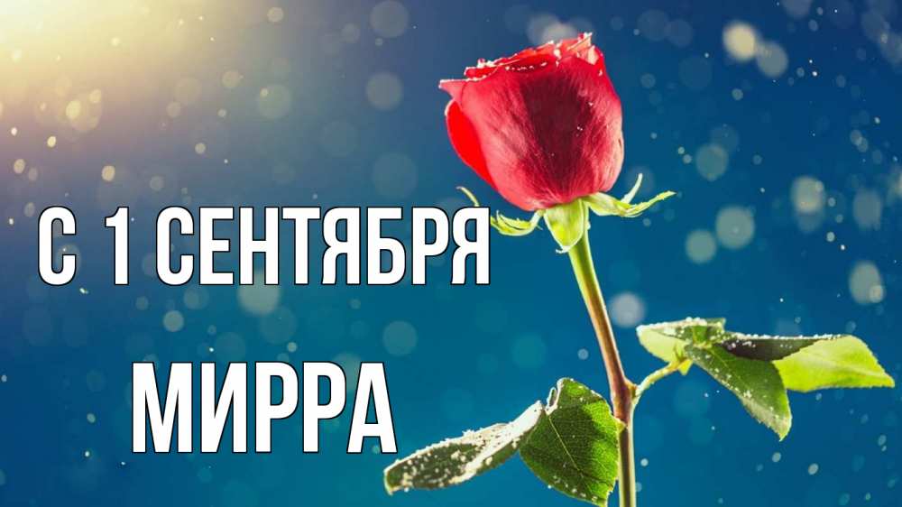 Открытка на каждый день с именем, Мирра С 1 сентября с днем знаний Прикольная открытка с пожеланием онлайн скачать бесплатно 