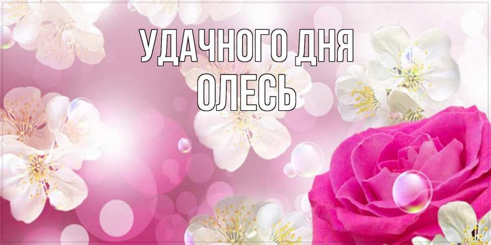 Открытка на каждый день с именем, Олесь Удачного дня красивые цветы Прикольная открытка с пожеланием онлайн скачать бесплатно 