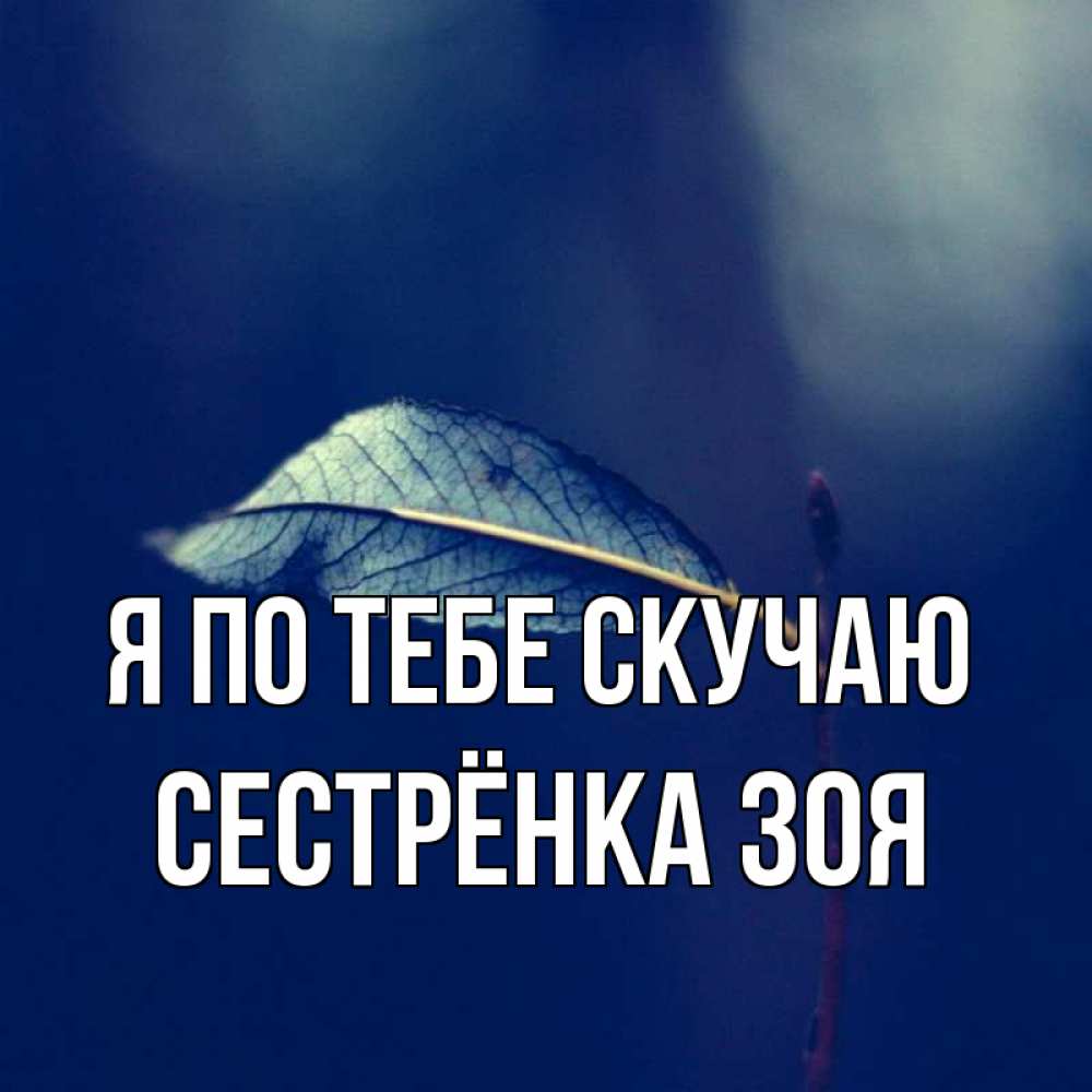 Открытка на каждый день с именем, Сестрёнка-Зоя Я по тебе скучаю одна ветка 1 Прикольная открытка с пожеланием онлайн скачать бесплатно 