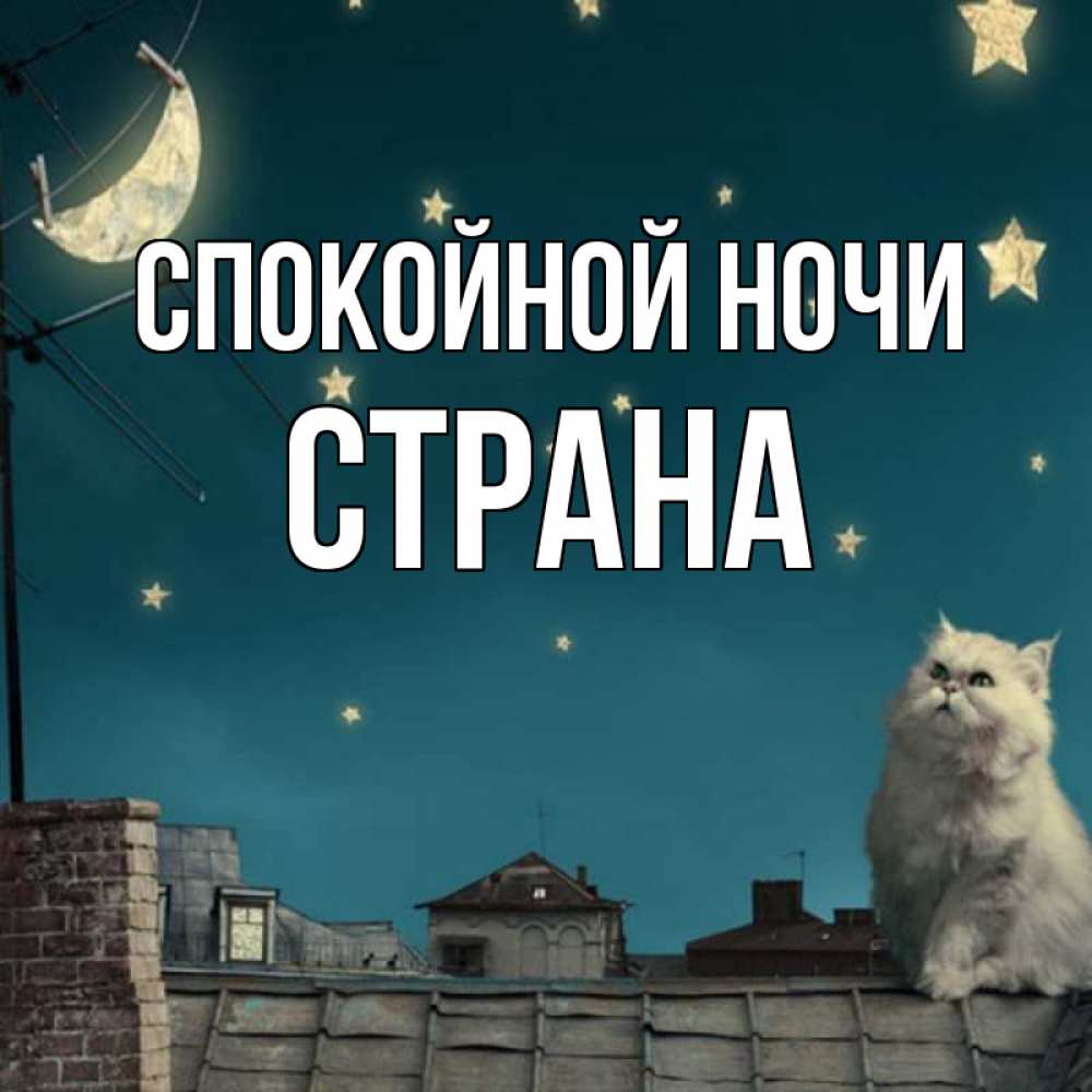 Открытка на каждый день с именем, Страна Спокойной ночи белый кот сидит на крыше Прикольная открытка с пожеланием онлайн скачать бесплатно 
