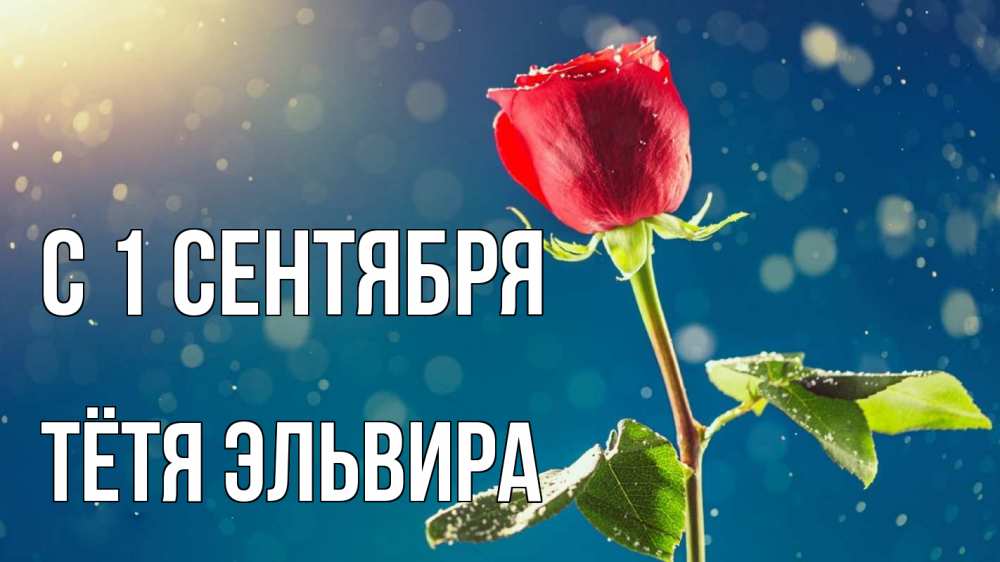 Открытка на каждый день с именем, Тётя-Эльвира С 1 сентября с днем знаний Прикольная открытка с пожеланием онлайн скачать бесплатно 