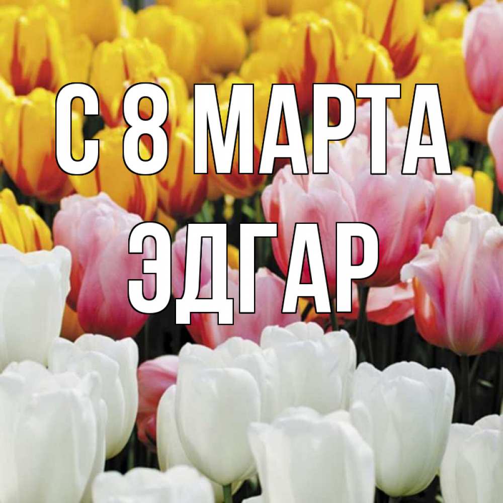Открытка на каждый день с именем, Эдгар С 8 МАРТА разноцветные цветы Прикольная открытка с пожеланием онлайн скачать бесплатно 