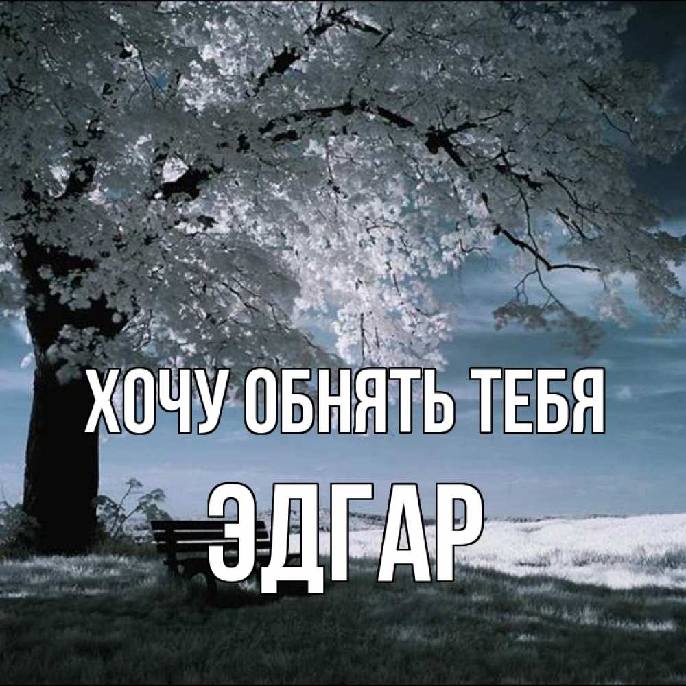 Открытка на каждый день с именем, Эдгар Хочу обнять тебя дерево Прикольная открытка с пожеланием онлайн скачать бесплатно 
