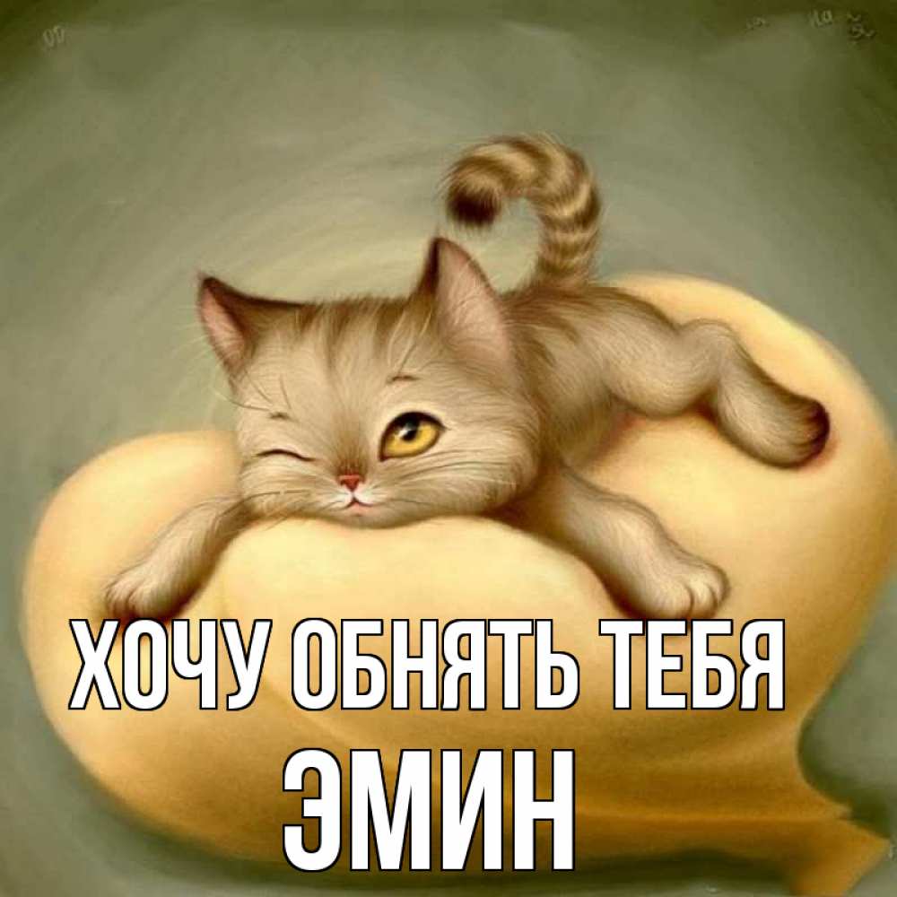 Открытка на каждый день с именем, Эмин Хочу обнять тебя кошечка Прикольная открытка с пожеланием онлайн скачать бесплатно 