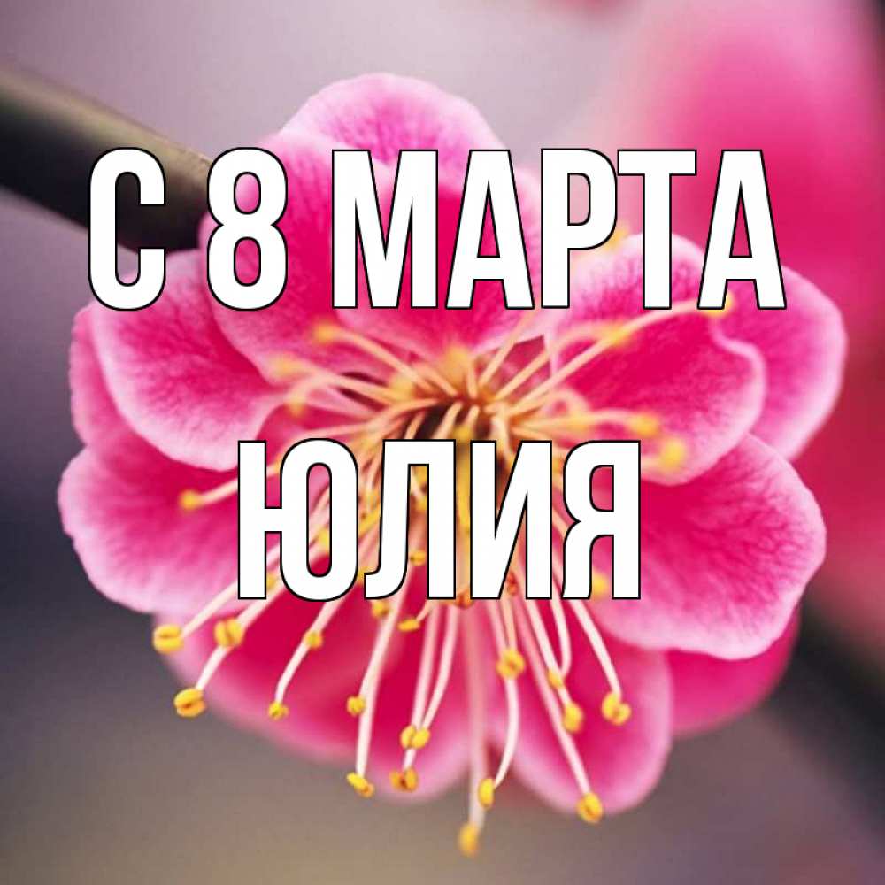 Открытка на каждый день с именем, Юлия С 8 марта цветы Прикольная открытка с пожеланием онлайн скачать бесплатно 