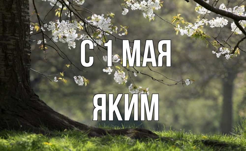 Открытка на каждый день с именем, Яким С 1 мая С 1 мая Прикольная открытка с пожеланием онлайн скачать бесплатно 