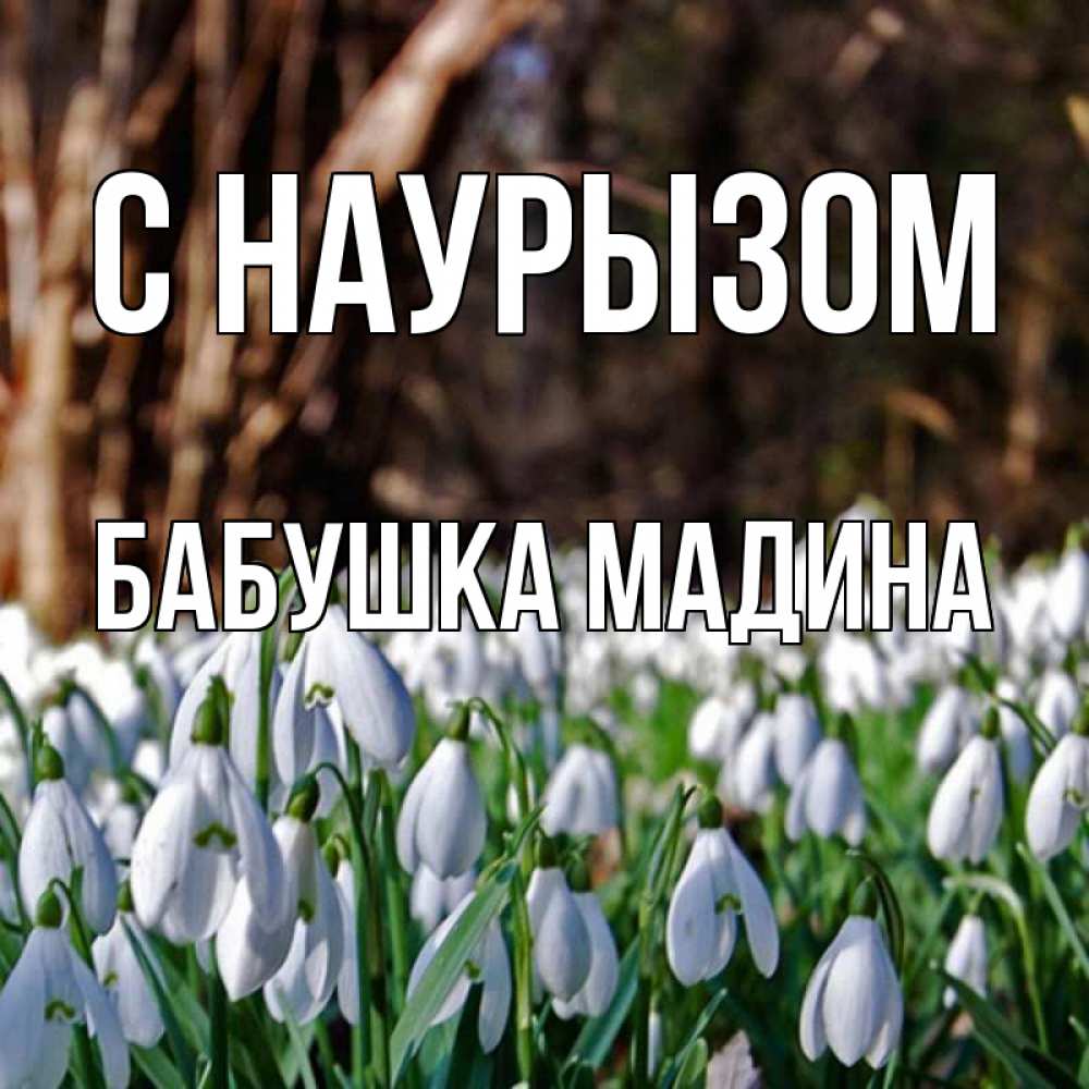 Открытка на каждый день с именем, Бабушка-Мадина С наурызом с подснежниками 1 Прикольная открытка с пожеланием онлайн скачать бесплатно 