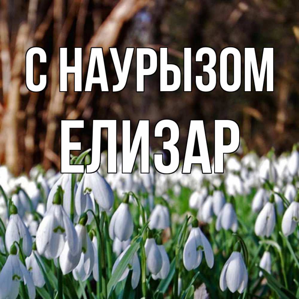 Открытка на каждый день с именем, Елизар С наурызом с подснежниками 1 Прикольная открытка с пожеланием онлайн скачать бесплатно 