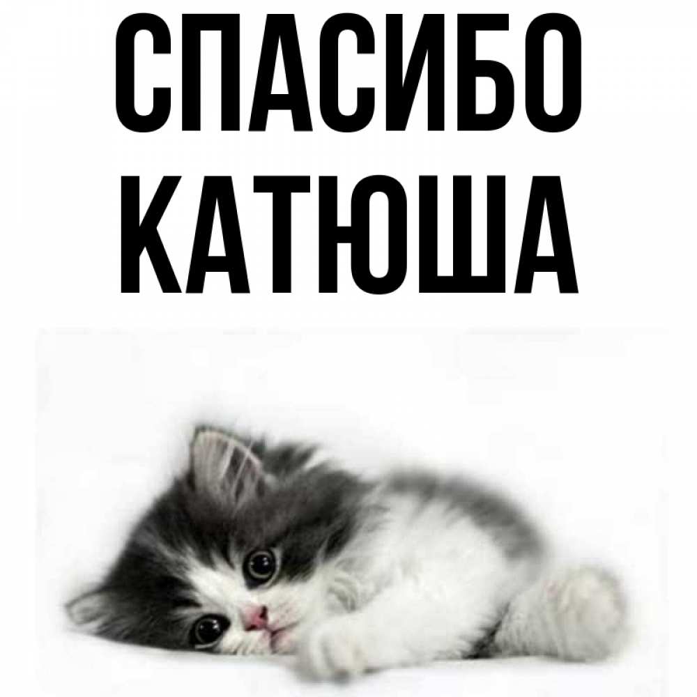 Открытка спасибо катюша, для девушки