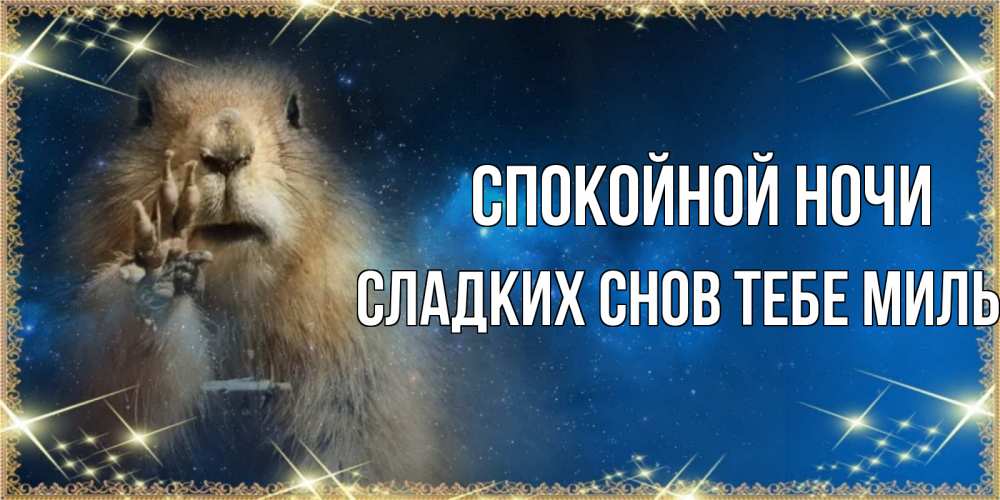 Картинка Спокойной ночи,  сладких снов тебе милый