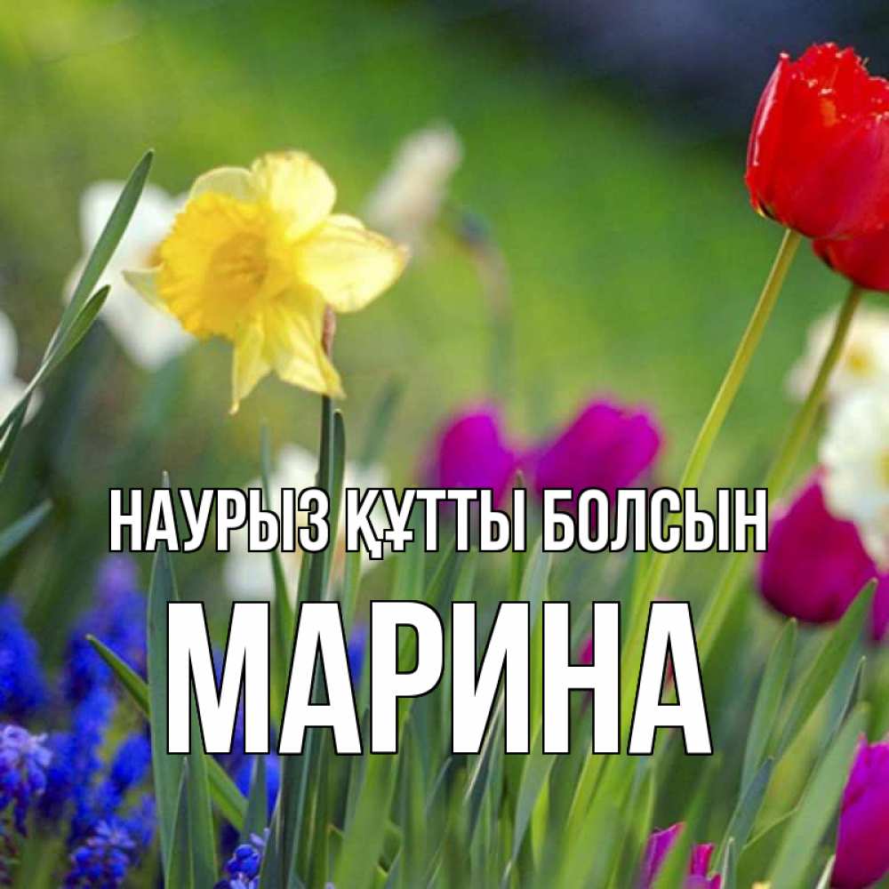 Открытка на каждый день с именем, Марина Наурыз құтты болсын наурыз  3 открытки Прикольная открытка с пожеланием онлайн скачать бесплатно 