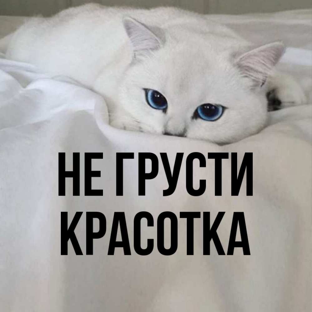 Картинка Не грусти, красотка