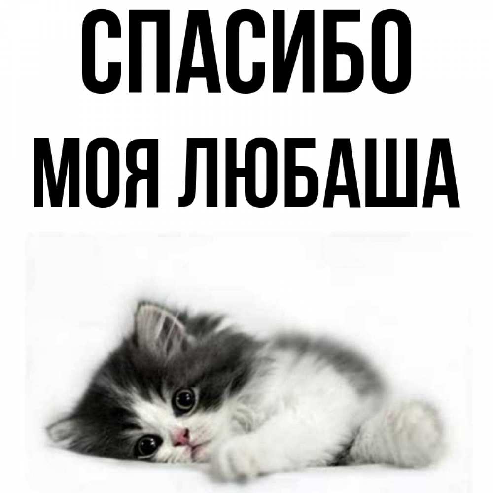 Спасибо любаша картинки