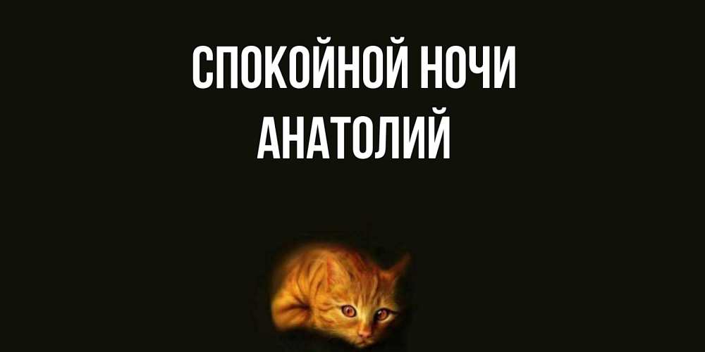 Открытка на каждый день с именем, Анатолий Спокойной ночи кот Прикольная открытка с пожеланием онлайн скачать бесплатно 