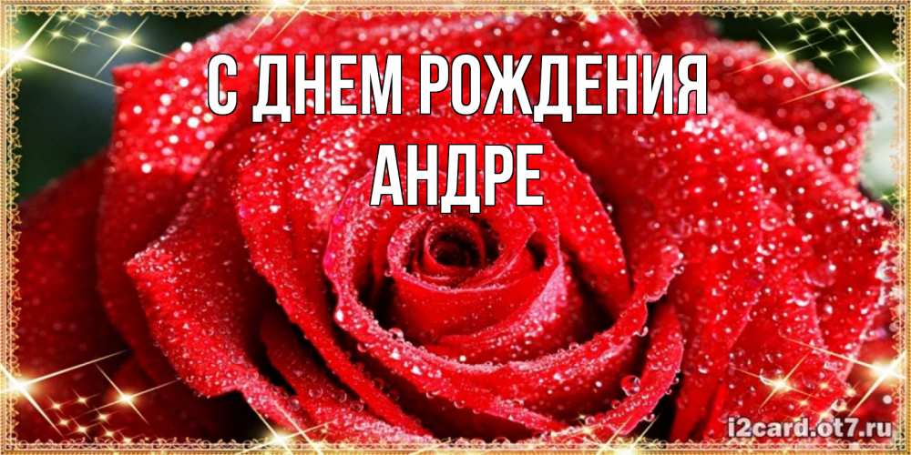 Открытка на каждый день с именем, Андре С днем рождения роса и роза. открытка с красивой розой Прикольная открытка с пожеланием онлайн скачать бесплатно 