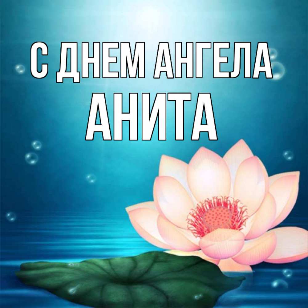 Открытка на каждый день с именем, Анита С днем ангела кувшинка Прикольная открытка с пожеланием онлайн скачать бесплатно 
