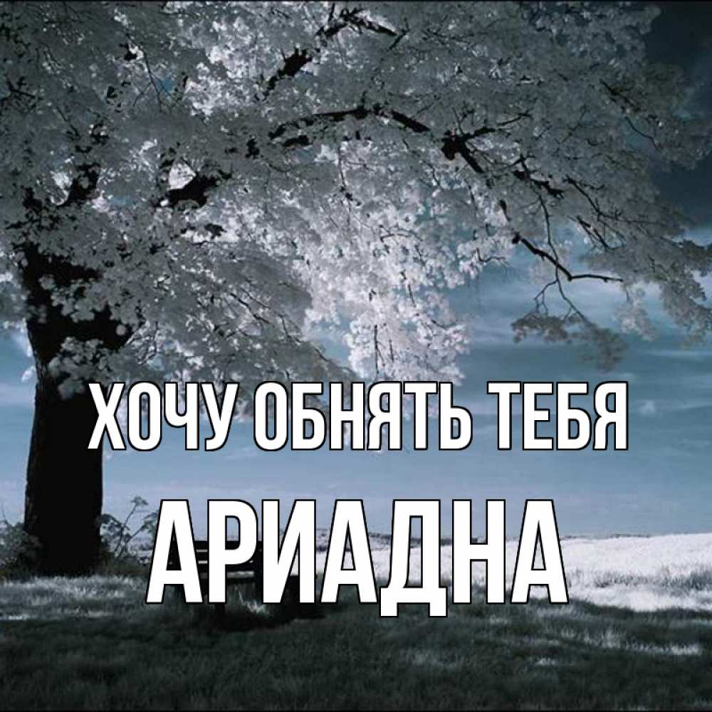Открытка на каждый день с именем, Ариадна Хочу обнять тебя дерево Прикольная открытка с пожеланием онлайн скачать бесплатно 