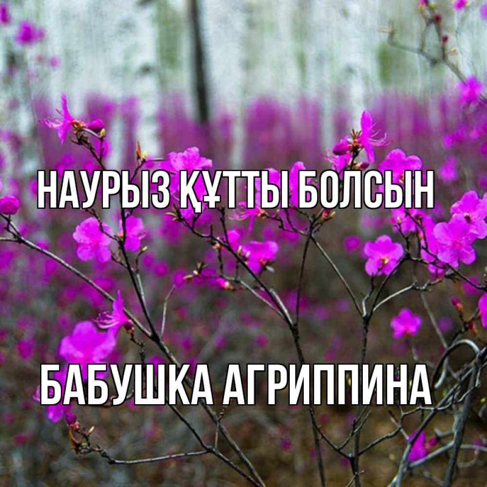 Открытка на каждый день с именем, Бабушка-Агриппина Наурыз құтты болсын дикие цветы Прикольная открытка с пожеланием онлайн скачать бесплатно 