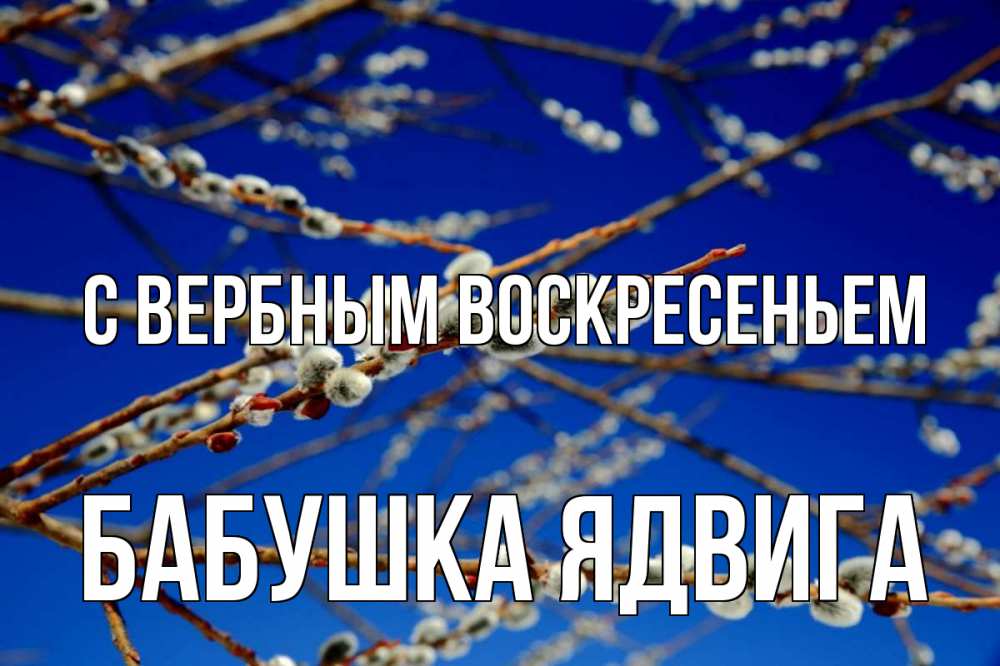 Открытка на каждый день с именем, Бабушка-Ядвига С вербным воскресеньем верба Прикольная открытка с пожеланием онлайн скачать бесплатно 