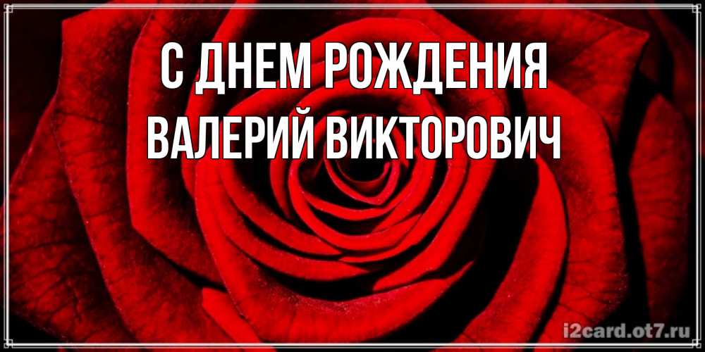 Открытка на каждый день с именем, Валерий-Викторович С днем рождения алая роза Прикольная открытка с пожеланием онлайн скачать бесплатно 