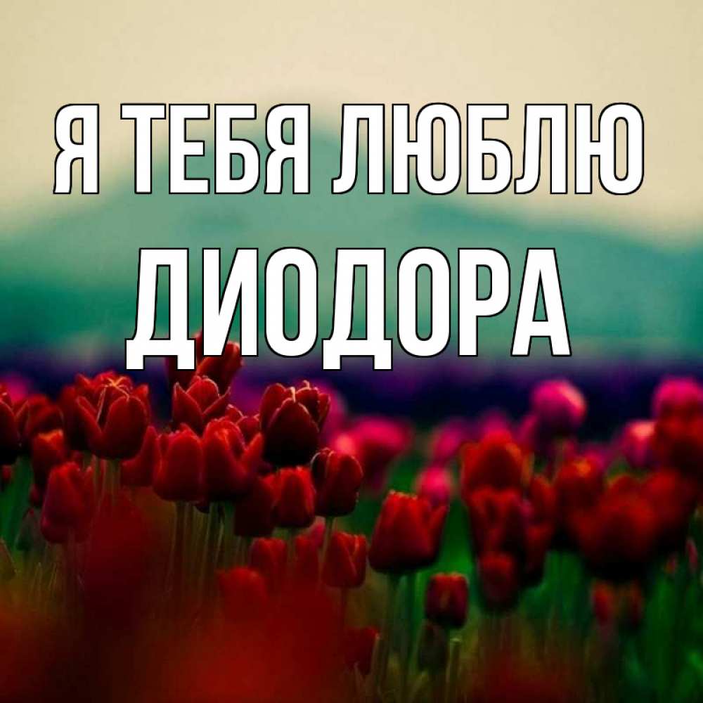Открытка на каждый день с именем, Диодора Я тебя люблю тюльпаны 4 Прикольная открытка с пожеланием онлайн скачать бесплатно 