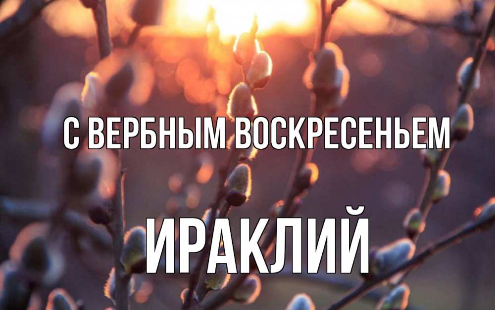 Открытка на каждый день с именем, Ираклий С вербным воскресеньем верба Прикольная открытка с пожеланием онлайн скачать бесплатно 