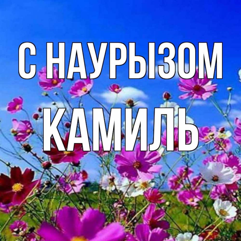 Открытка на каждый день с именем, Камиль С наурызом цветы Прикольная открытка с пожеланием онлайн скачать бесплатно 