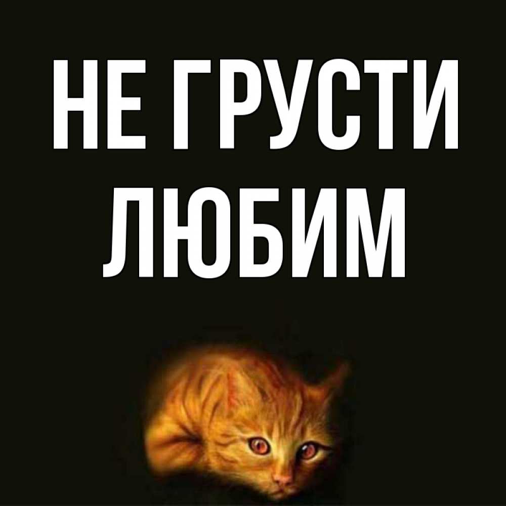 Открытка на каждый день с именем, Любим Не грусти лежащий кот в темноте Прикольная открытка с пожеланием онлайн скачать бесплатно 