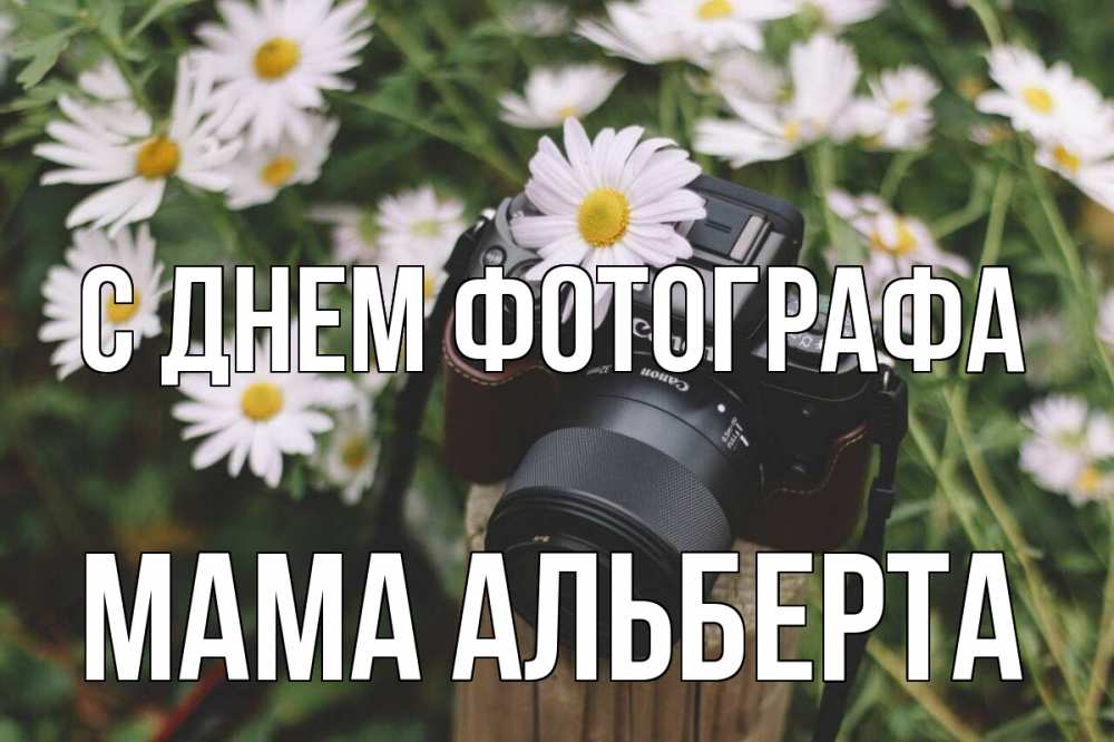 Открытка на каждый день с именем, Мама-Альберта С днем фотографа с днем фотографа Прикольная открытка с пожеланием онлайн скачать бесплатно 