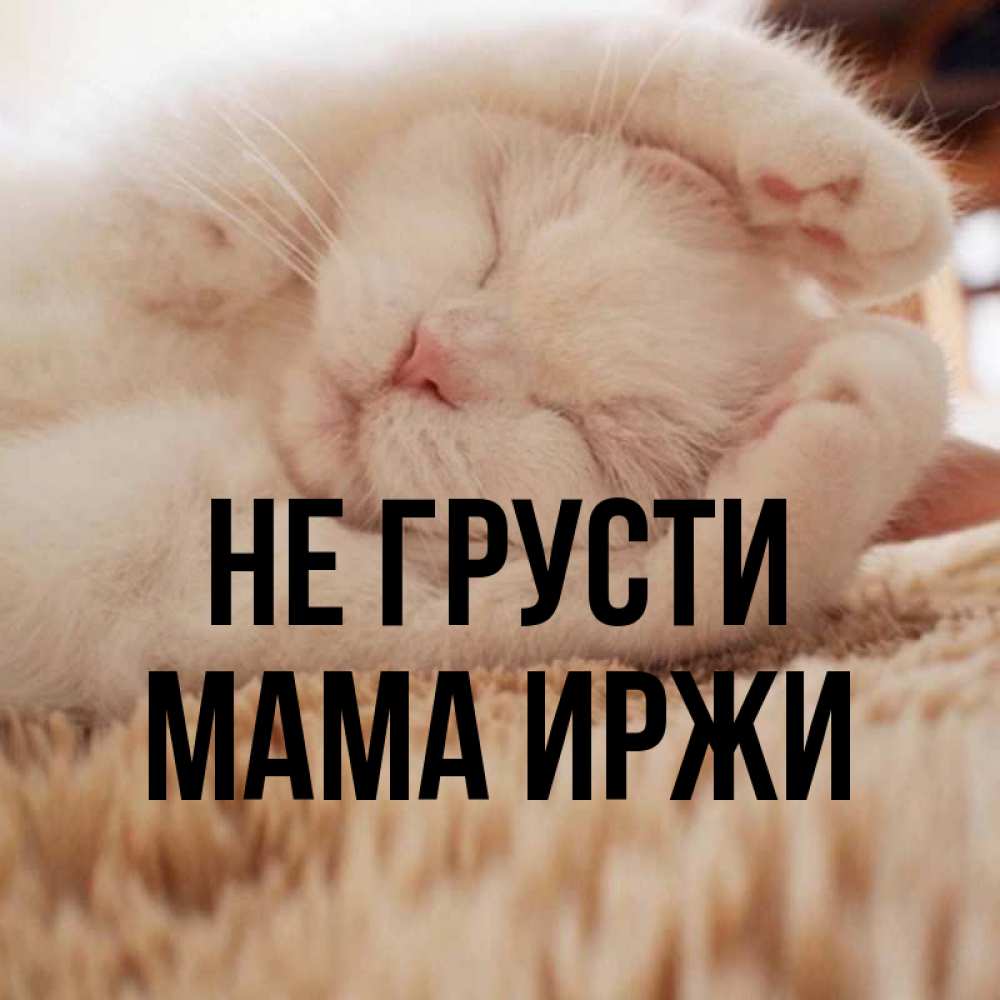Открытка на каждый день с именем, Мама-Иржи Не грусти Котенок спит Прикольная открытка с пожеланием онлайн скачать бесплатно 