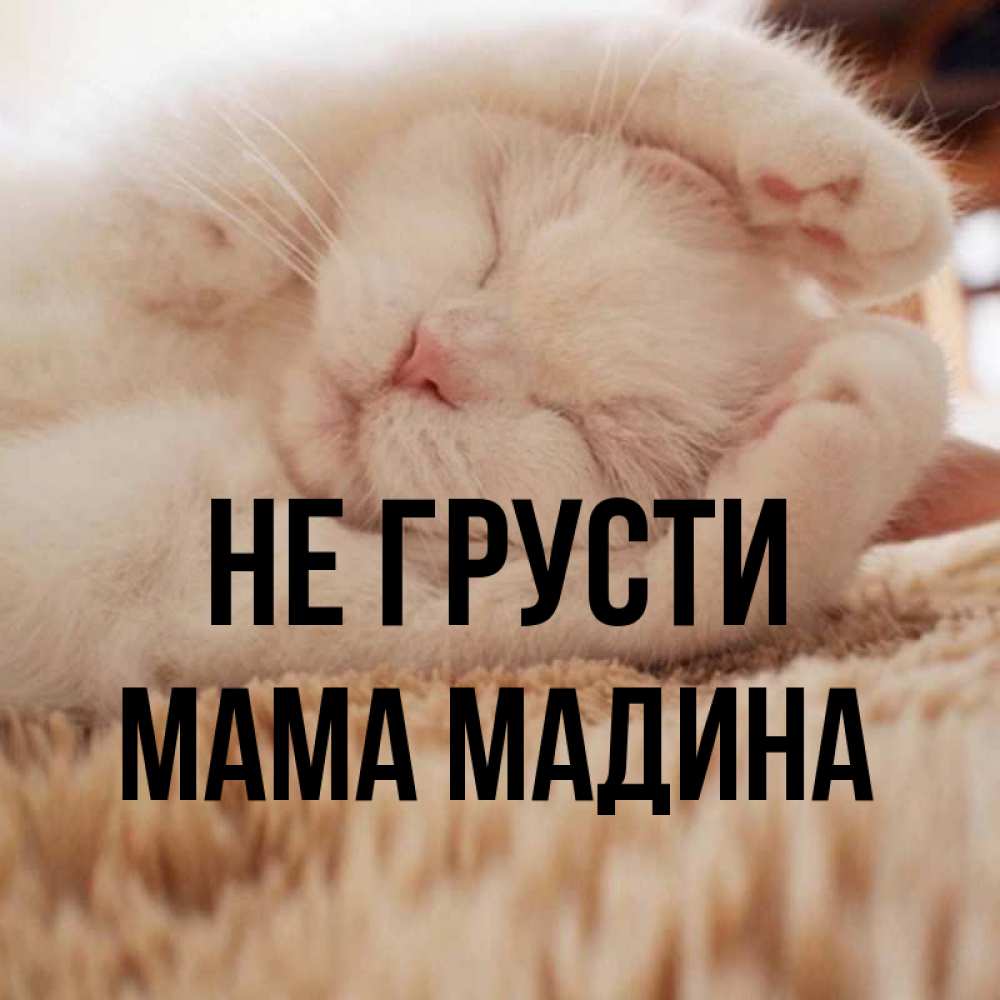 Открытка на каждый день с именем, Мама-Мадина Не грусти Котенок спит Прикольная открытка с пожеланием онлайн скачать бесплатно 