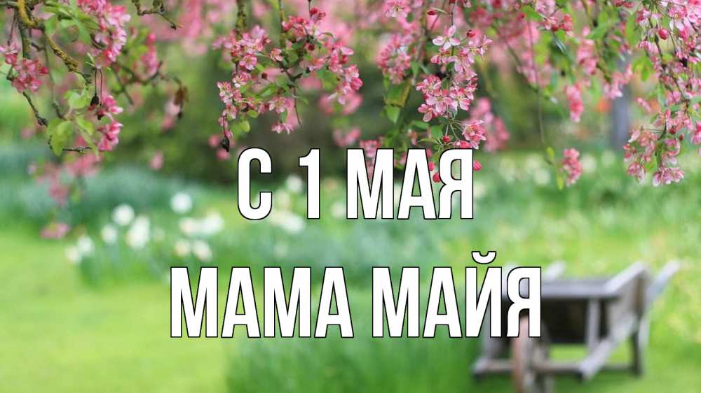 Открытка на каждый день с именем, Мама-Майя С 1 мая С 1 мая Прикольная открытка с пожеланием онлайн скачать бесплатно 